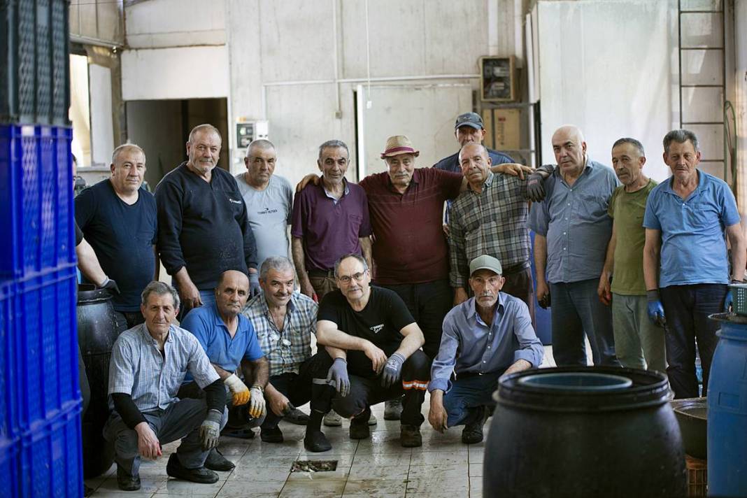 Hızlı soyan 20 erkek topladı: Kişi başı günde 2500 TL kazanıyorlar! 'Çok güçlü bir ekibimiz var, hızlıca soyuyoruz' 10